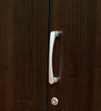 Kenzou Three Door Wardrobe in Wenge Finish by Mintwud