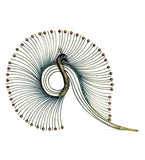 Multicolour W-Modern Peacock Iron Wall Hanging by Vedas